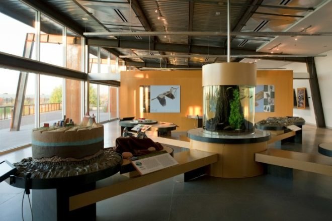 Rio Salado Audubon Center, Weddle Gilmore Black Rock Studio, audubon center, brownfield restoration, habitat restoration, leed platinum, visitor center