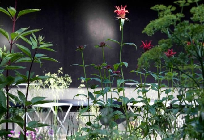 Zumthor photos, plant pavillion, london green design, burlap facade, zen pavilion, contemporary pavilion, black box,“sustainable architecture”, 2009 Pritzker Prize, 2011 Serpentine Pavilion, garden, green design, landscape design, Peter Zumthor, Pritzker Prize, Serpentine Pavilion, sustainable design