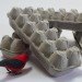 Recycling / Compost,Green Home decor,green packaging,Green Materials,Green Lighting,Contests,Bright Ideas,Art,egg carton,new york,low energy light,recycled pulp paper