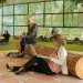 Kinetic Energy,green technology,Green Lighting,green Interiors,green furniture,Green Appliances,Eco Travel,Design Academy in Eindhoven,dutch design,pedal power,LED lamps,good air quality,airport park,schipol airport amsterdam,mixed reality