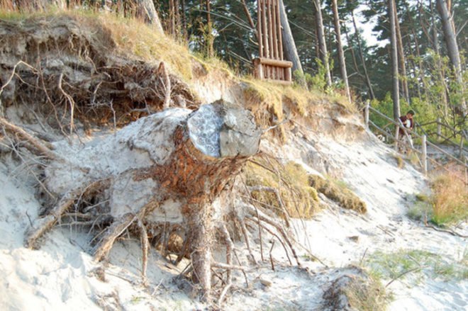 oak beach, nespoon, nespoon art, beach art, doily art, street art, eco art, eco installation, art installations, outdoor art installations, baltic sea art, outdoor eco art, green art