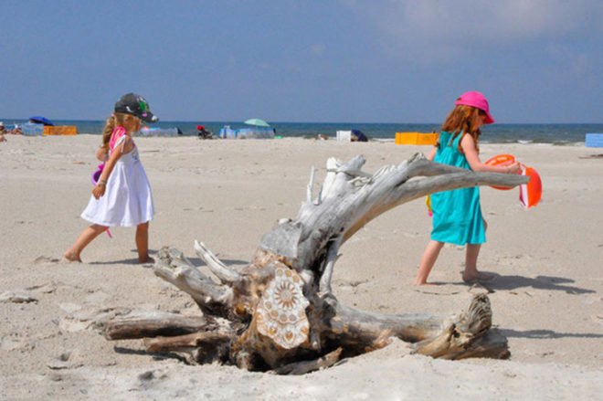 oak beach, nespoon, nespoon art, beach art, doily art, street art, eco art, eco installation, art installations, outdoor art installations, baltic sea art, outdoor eco art, green art