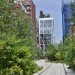high line, high line nyc, section 2 high line nyc, section 2 high line opening, opening of section 2 of the high line, high line park, james corner field operations" title="High Line Park Section 2 in New York City