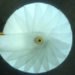 biomimicry, pillbug lamp, kristof kovacs, versatile lighting, bright ideas lighting competition, led lamp, green lighting,