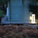 green design, eco design, sustainable design, recycled plastic, Rotoluxe, 100% recycled plastic, illuminated planters, illuminated table, LED, CFL,