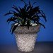 green design, eco design, sustainable design, recycled plastic, Rotoluxe, 100% recycled plastic, illuminated planters, illuminated table, LED, CFL,