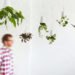 Boskke sky planter, hanging gardens, hanging plants, suspended planters, kew garden planters, red dot awards 2011, sky planters kew gardens, hanging planters, recycled planters, recycled garden pots, hanging recycled pots
