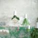 Boskke sky planter, hanging gardens, hanging plants, suspended planters, kew garden planters, red dot awards 2011, sky planters kew gardens, hanging planters, recycled planters, recycled garden pots, hanging recycled pots