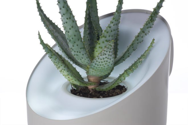 andrea air purifier, clean air, clean air naturally, air cleaning plants, air clearing plants, greener gadgets, green home design, clean home, green cleaning products, green home products