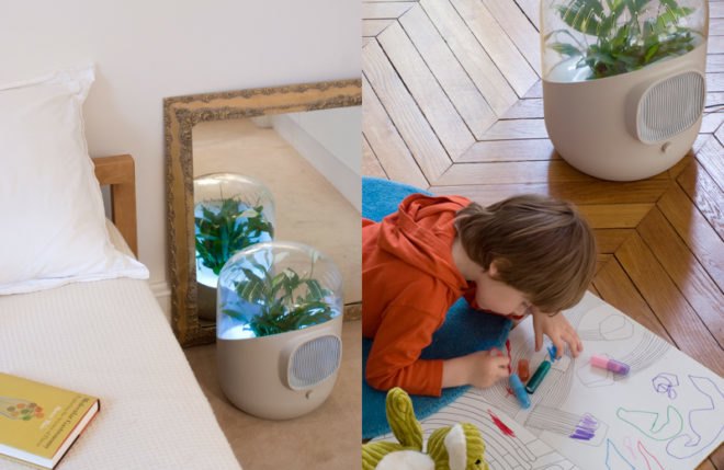andrea air purifier, clean air, clean air naturally, air cleaning plants, air clearing plants, greener gadgets, green home design, clean home, green cleaning products, green home products