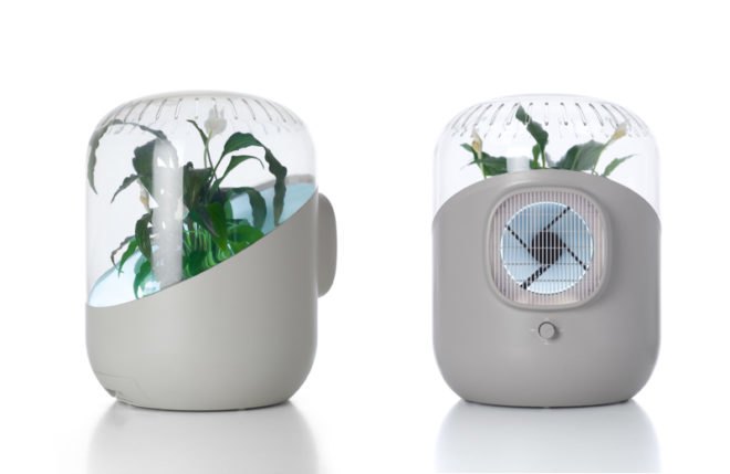 andrea air purifier, clean air, clean air naturally, air cleaning plants, air clearing plants, greener gadgets, green home design, clean home, green cleaning products, green home products