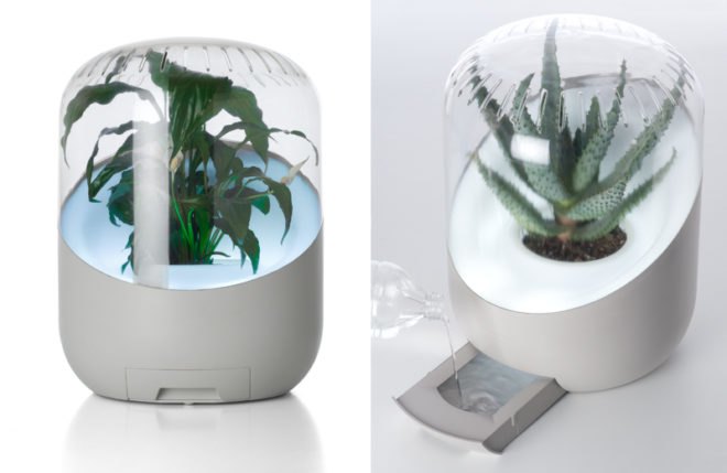 andrea air purifier, clean air, clean air naturally, air cleaning plants, air clearing plants, greener gadgets, green home design, clean home, green cleaning products, green home products