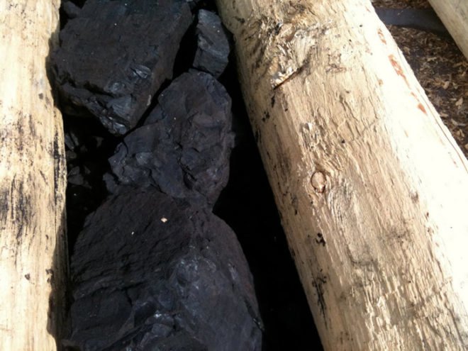 carbon sink, Chris Drury, eco art, mountain pine beetle, Art controversy, Powder River Basin, Wyoming Mining Association, coal industry, effects of caol, caol art, green art, University of Wyoming Art, Cowboys UW, Art protest,
