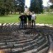 carbon sink, Chris Drury, eco art, mountain pine beetle, Art controversy, Powder River Basin, Wyoming Mining Association, coal industry, effects of caol, caol art, green art, University of Wyoming Art, Cowboys UW, Art protest,