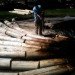 carbon sink, Chris Drury, eco art, mountain pine beetle, Art controversy, Powder River Basin, Wyoming Mining Association, coal industry, effects of caol, caol art, green art, University of Wyoming Art, Cowboys UW, Art protest,