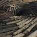 carbon sink, Chris Drury, eco art, mountain pine beetle, Art controversy, Powder River Basin, Wyoming Mining Association, coal industry, effects of caol, caol art, green art, University of Wyoming Art, Cowboys UW, Art protest,