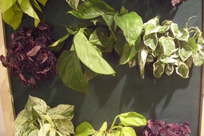Vertical Garden,Zero energy,Urban design,Sustainable Materials,social design,Kinetic Energy,Recycling / Compost,London,humanitarian design,green technology,Green Resources,Green Products,New Materials,green Interiors,green graphic design,Interactive Objects,green furniture,Green Appliances,Gardening,Design for Health,Botanical,biomimicry,Art,central st. martins university of london,london design,beehive,biodegradable materials,recycled art,scrap wood,mud houses,pedal power,eco-design toolkit,degree show,locally sourced materials,