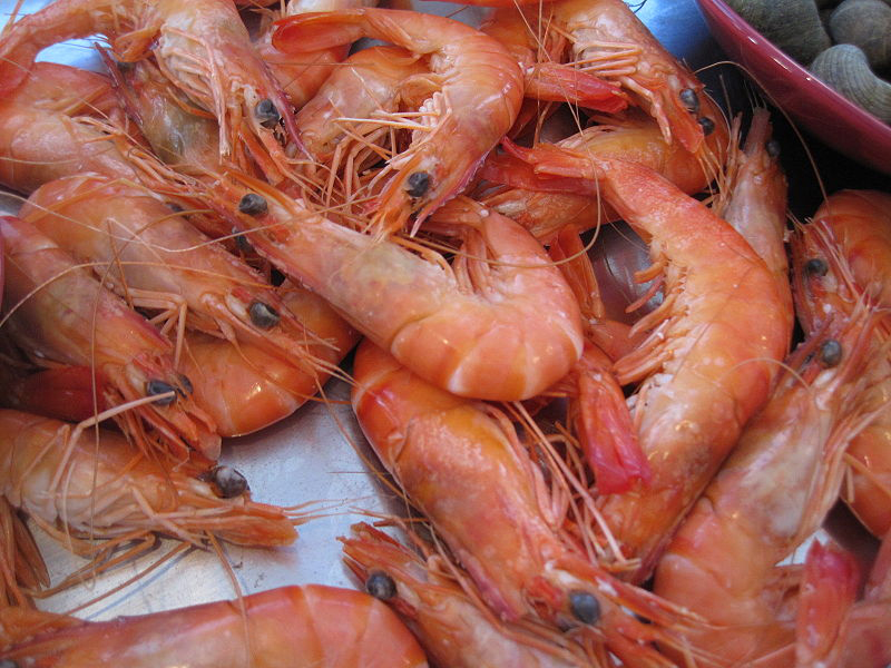 desert shrimp farm, sustainable shrimp, green shrimp, eco shrimp, ocean friendly shrimp, sustainable seafood, sustainable seafood farm, seafood farm, fish farm, las vegas shrimp, las vegas food, sustainable food