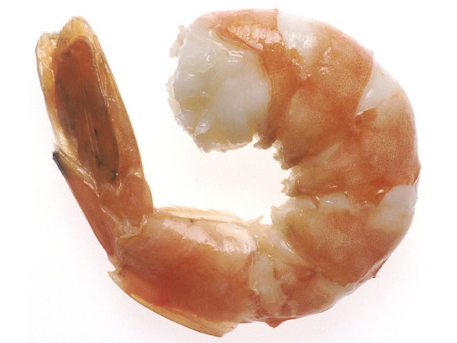 desert shrimp farm, sustainable shrimp, green shrimp, eco shrimp, ocean friendly shrimp, sustainable seafood, sustainable seafood farm, seafood farm, fish farm, las vegas shrimp, las vegas food, sustainable food