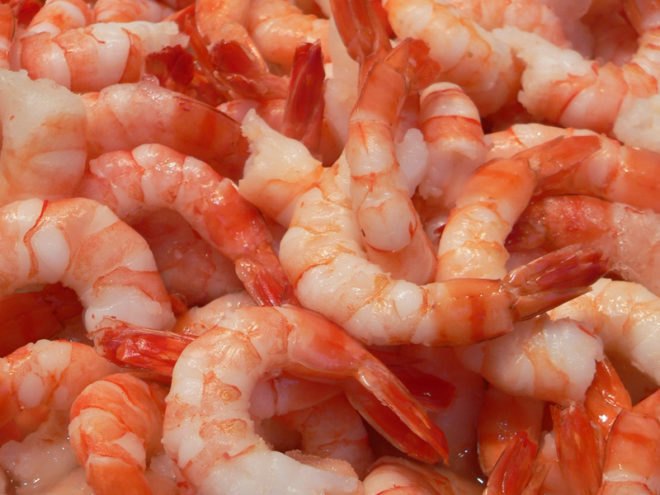 desert shrimp farm, sustainable shrimp, green shrimp, eco shrimp, ocean friendly shrimp, sustainable seafood, sustainable seafood farm, seafood farm, fish farm, las vegas shrimp, las vegas food, sustainable food