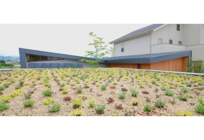 Residence in Kishigawa, MMA-Design, Matsunami Mitsutomo Architect & Associates, japan, green roof, small space living