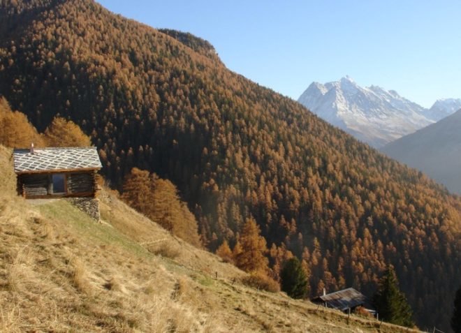 Personeni Raffaele Schärer Architects, livestock shelter, solar power, low carbon footprint, locally acquired materials, sustainable development, green design, sustainable design, switzerland, Herens district, eco-design
