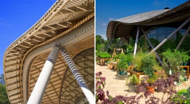 The Savill Building, Glenn Howells, gridshell roof, visitor center, windsor great park, sustainable wood
