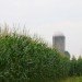 ethanol made from corn waste, corn waste ethanol, poet, us department of energy loan, us back cellulosic ethanol plant