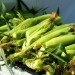 ethanol made from corn waste, corn waste ethanol, poet, us department of energy loan, us back cellulosic ethanol plant