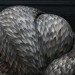 eco art, eco artist, Kate MccGwire, green art sculptures, feather art, feather sculpture, art London, art natural materials, feather projects, things to do with feathers,