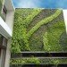 diy, green design, eco design, sustainable design, green wall, vertical garden, gardening, gsky