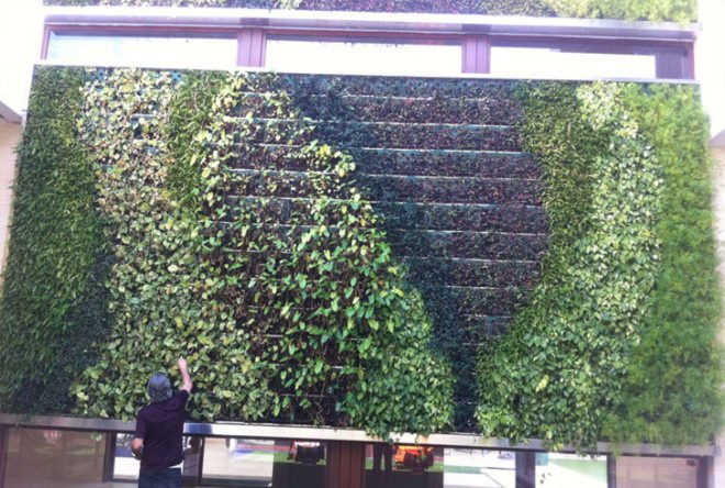 diy, green design, eco design, sustainable design, green wall, vertical garden, gardening, gsky