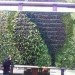 diy, green design, eco design, sustainable design, green wall, vertical garden, gardening, gsky