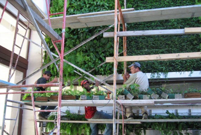 diy, green design, eco design, sustainable design, green wall, vertical garden, gardening, gsky