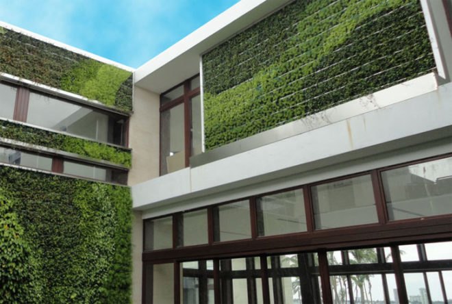 diy, green design, eco design, sustainable design, green wall, vertical garden, gardening, gsky