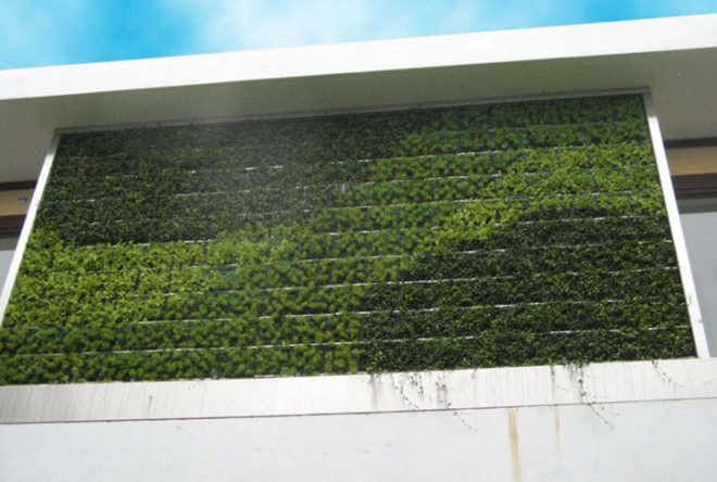 diy, green design, eco design, sustainable design, green wall, vertical garden, gardening, gsky