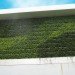 diy, green design, eco design, sustainable design, green wall, vertical garden, gardening, gsky