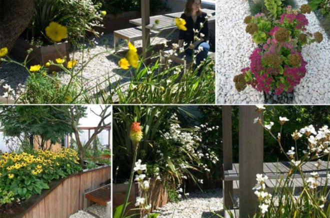 roof garden, green roof, planted roof, gillespies, london green roof, paddington walk, paddington, green design, eco design, sustainable design, green architecture, eco architecture