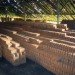 poo power, biogas, biofuel, Virginia Gardiner, LooWatt, EcoFaeBricks, Prasetiya Mulya Busines School, Indonesia, MIT, Park Spark, Matthew Mazzotta, Google, Hewlett Packard, Dog Poop power, Volkswagen Bug, Bio-Bug, Geneco, Poop burger, Mitsuyuki Ikeda, Environmental Assessment Center