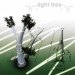 Omar Huerta Light Tree, solar tree, hydroponic solar tree, hydroponics, solar power, alternative energy, urban farming, renewable energy