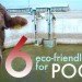 poo power, biogas, biofuel, Virginia Gardiner, LooWatt, EcoFaeBricks, Prasetiya Mulya Busines School, Indonesia, MIT, Park Spark, Matthew Mazzotta, Google, Hewlett Packard, Dog Poop power, Volkswagen Bug, Bio-Bug, Geneco, Poop burger, Mitsuyuki Ikeda, Environmental Assessment Center