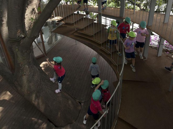 green design, eco design, sustainable design, kindergarten, Tekuza Architects, Fuji Kindergarten, interior garden, playground