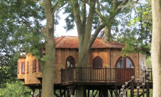 blue forest, blueforest, treehouse, tree house, treehouse office, tree house office, treehouses, sustainable design, eco design, green design, green home