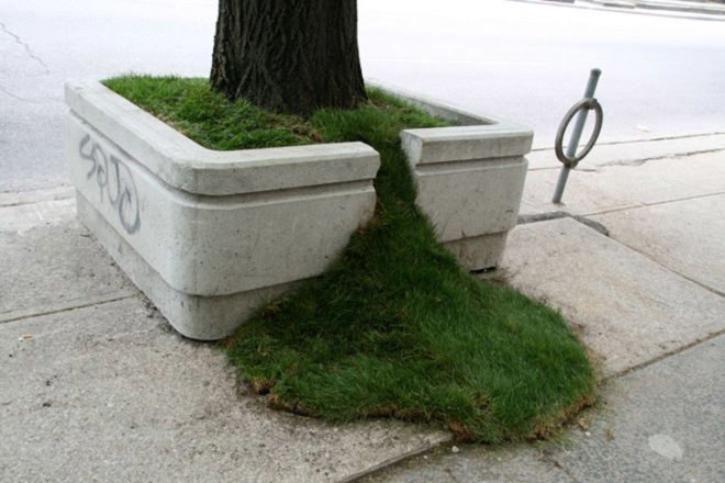sean Martindale, planter, boxes, toronto, street art, green design, eco, sustainable