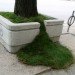sean Martindale, planter, boxes, toronto, street art, green design, eco, sustainable
