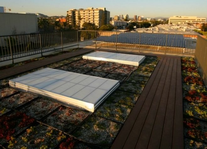 20th Street Offices, Belzberg Architects, leed gold, green roof, solar power, eco office, santa monica