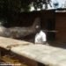 home made space shuttle, African Space Research Programme, chris nsamba African Space Research Programme, African Space Research Programme home made shuttle, African Space Research Programme funding, chris nsamba home made shuttle, African Space Research Programme plane, African Space Research Programme design
