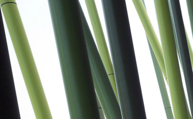Bao'an Stadium, GMP Architekten, eco stadium, bamboo, stadium, shenzhen, universiade 2011