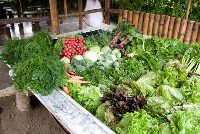 Sustainable Food,Sustainable Materials,Solar Power,Recycling / Compost,Green Resources,Green Materials,Green Holidays,Eco Tourism,Eco Travel,Art,Architecture,mud houses,peru,lima,pacific ocean,yoga,reiki,biodegradable materials,bamboo,organic vegetables,vegetarian food,healthy living,sand dunes