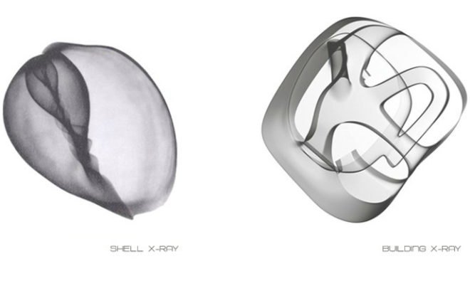 Haliommatidium, DRA&U, mixed-use, fairground building, shells, geothermal energy, solar energy, rooftop gardens, italy